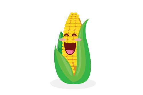 Organic food corn cartoon vector