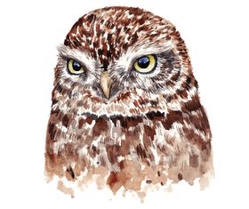 Owl hand drawn watercolor animals vector