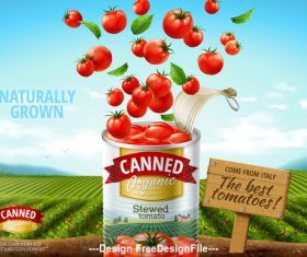 The best tomatoes canned advertising poster vector