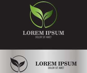 leaf seed logo vector