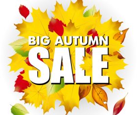Autumn big sale vector