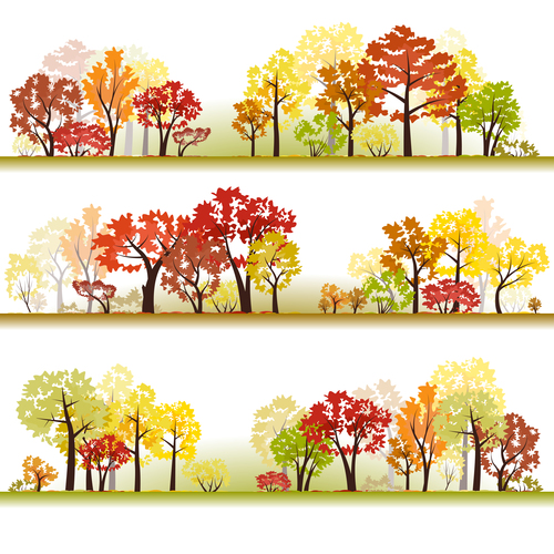 Autumn woods illustration vector