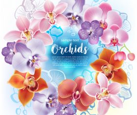 Backgrounds with bright flowers vector