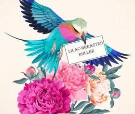 Backgrounds with flowers and birds vector