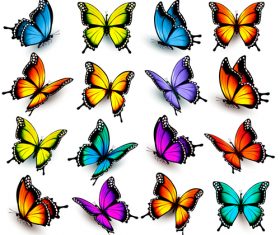 Colorful butterflies background vector
