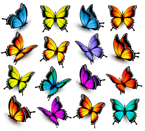Colorful butterflies background vector