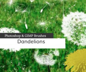 Dandelions and Seeds PS Brushes
