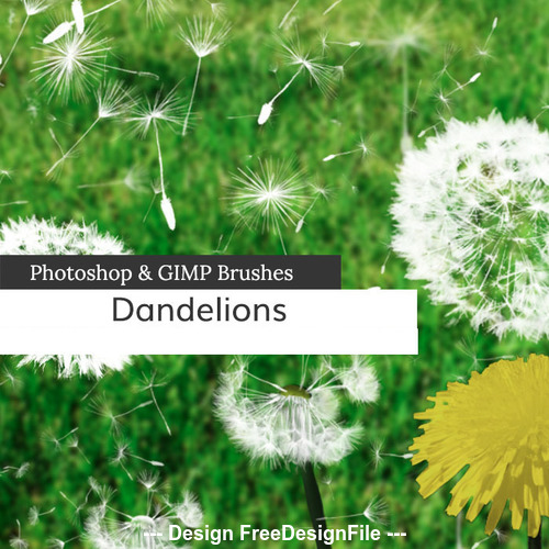 Dandelions and Seeds PS Brushes