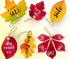 Leaf illustration sale tag vector