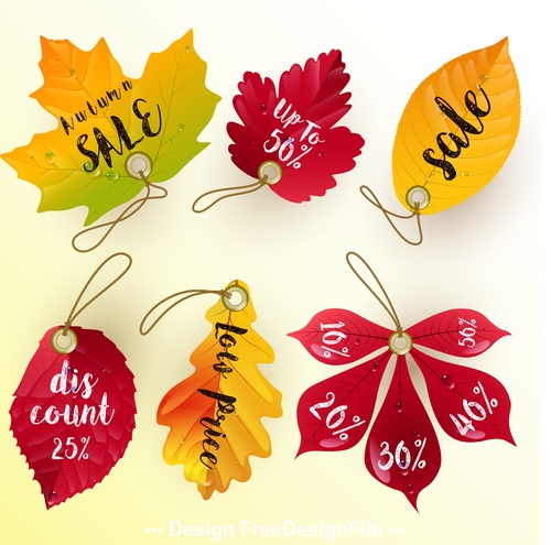 Leaf illustration sale tag vector