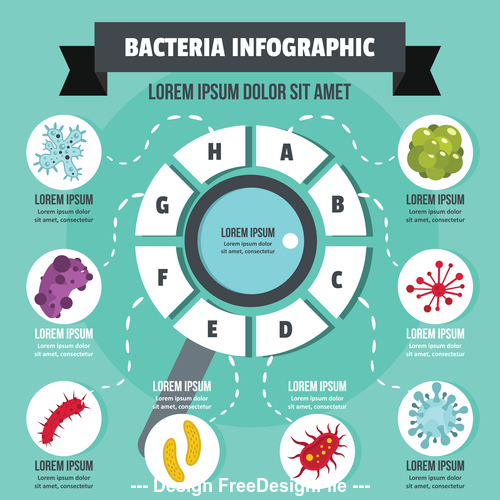 Bacteria information vector flat style