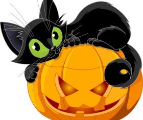 Black cat on pumpkin vector