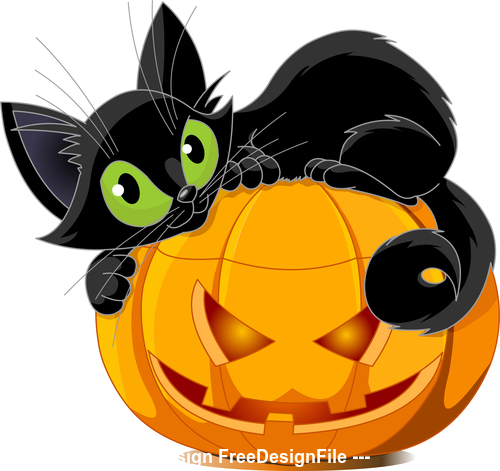 Black cat on pumpkin vector