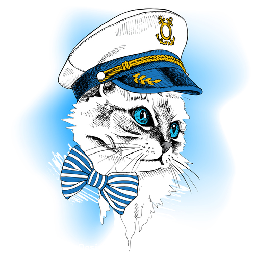 Cat sailor vector