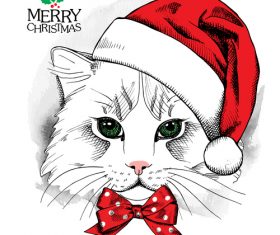 Cat wearing a christmas hat vector