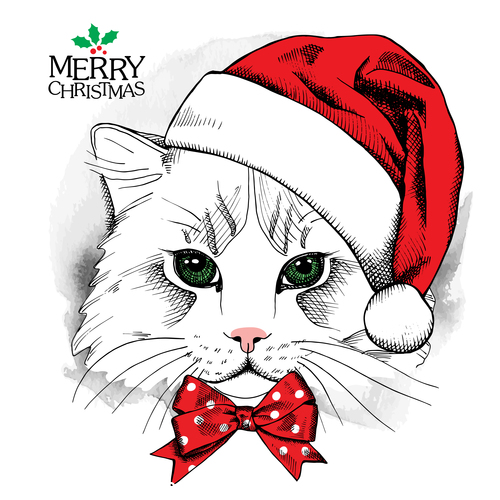 Cat wearing a christmas hat vector