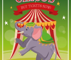 Circus elephant show vector