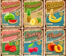 Fruit banner card vector