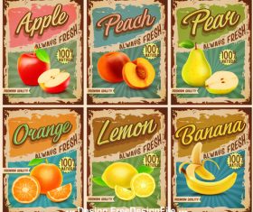 Fruits vintage banner vector