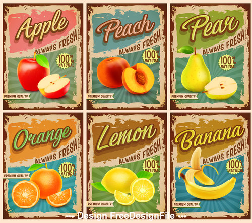 Fruits vintage banner vector