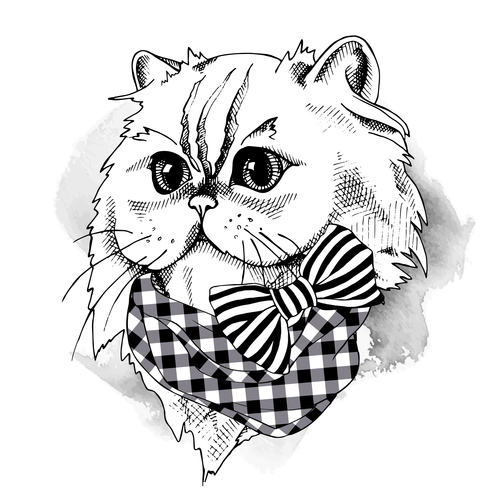 Himalayan cat bow scarf vector