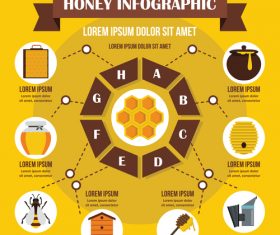 Honey infographic vector flat style