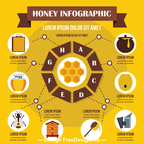 Honey infographic vector flat style