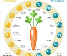 Infographics about nutrients in carrot vector