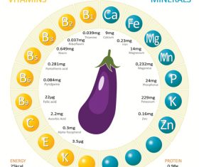 Infographics about nutrients in eggplant vector