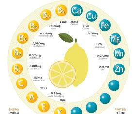 Infographics about nutrients in lemon vector
