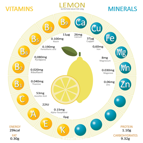 Infographics about nutrients in lemon vector
