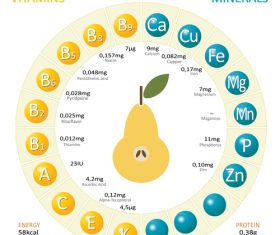 Infographics about nutrients in pear vector