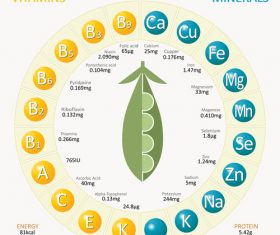 Infographics about nutrients in peas vector