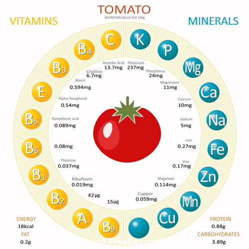 Infographics about nutrients in tomato vector