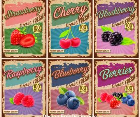 Retro fruit banner vector