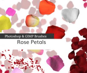 Rose Petal PS Brushes