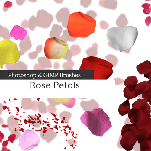 rose petals brush photoshop free download