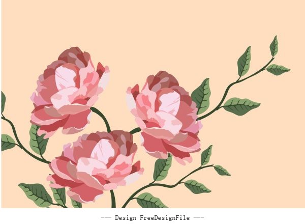 Botany painting colored classical vector