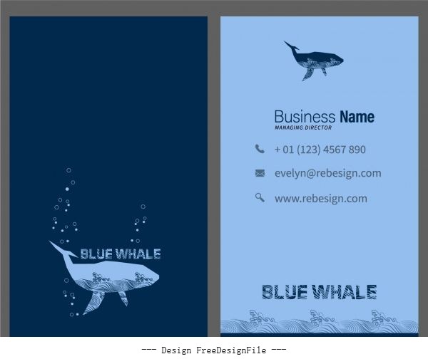 Business card template marine theme whale set vector