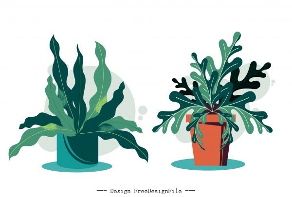 Decorative houseplant icons colored classical vector