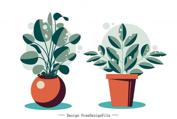 Houseplant icons colored flat vector