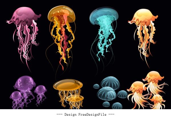Jellyfish icons colorful modern illustration vector