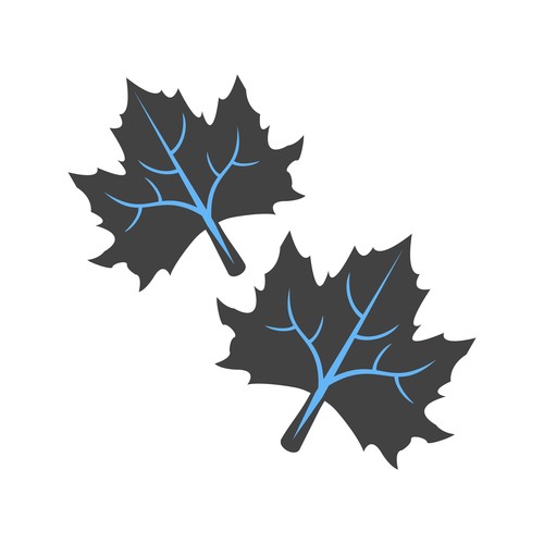 Leaves Icons vector