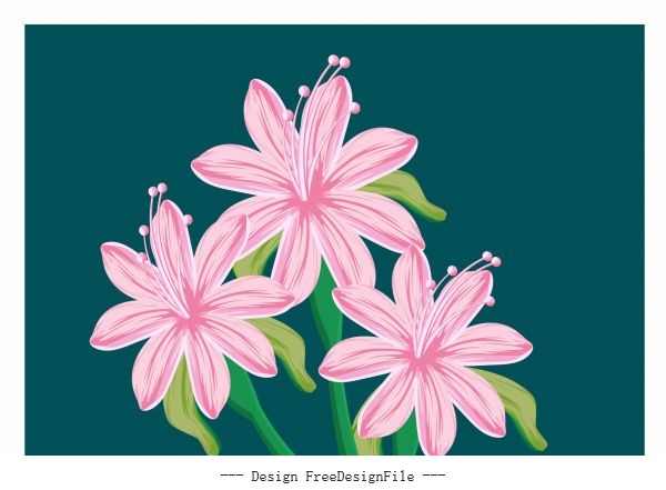 Lily painting colored classical handdrawn vector