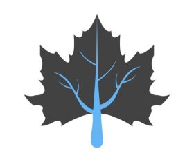 Maple leaf Icons vector