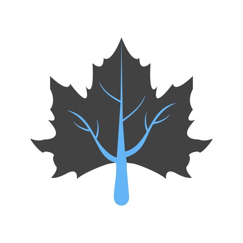 Maple leaf Icons vector