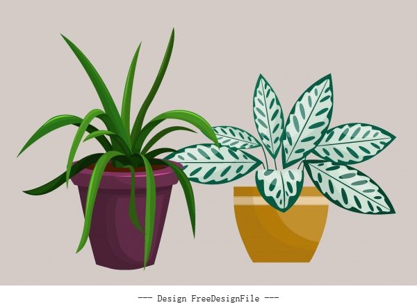 Plant pot icons colored illustration vector