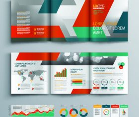Tri fold color brochure flyer template vector