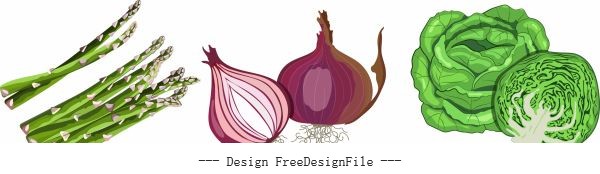 Vegetables icons onion cabbage asparagus design vector