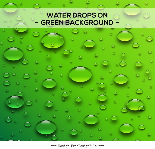 Water drops with green background vector